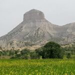 ilam-whre-to-see