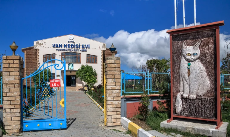 Van Museum; A journey from the Paleolithic era to Ottoman 29 Van's Cats House