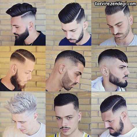 Boxer hairstyle 