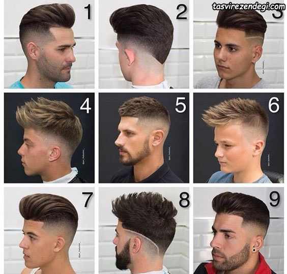 Men's short hair style 