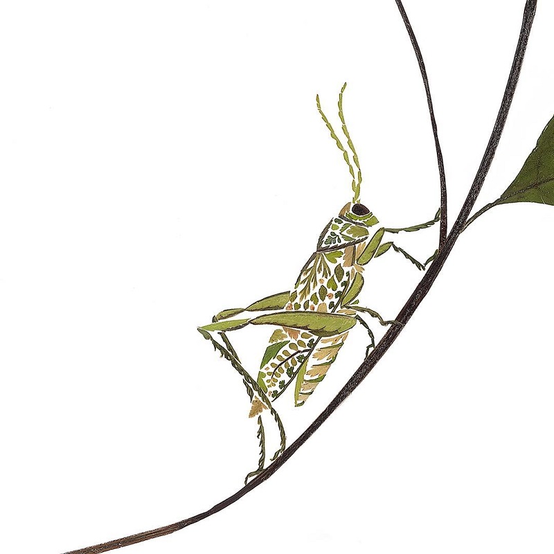 An illustration of a grasshopper with leaves and flowers by Helen Ahpoornesiri; Photo source: Helenahpornsiri.com website