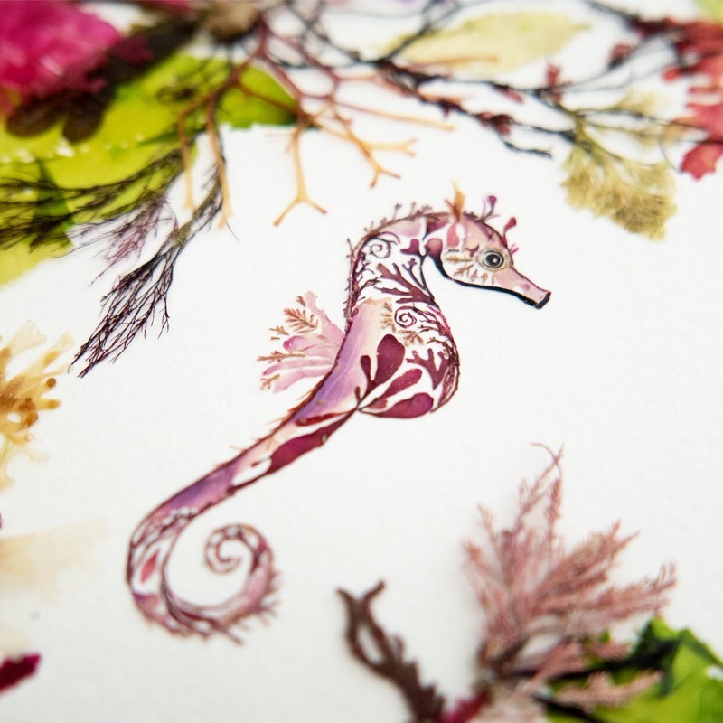 Seahorse by Helen Ahpoornesiri; Photo source: Helenahpornsiri.com website