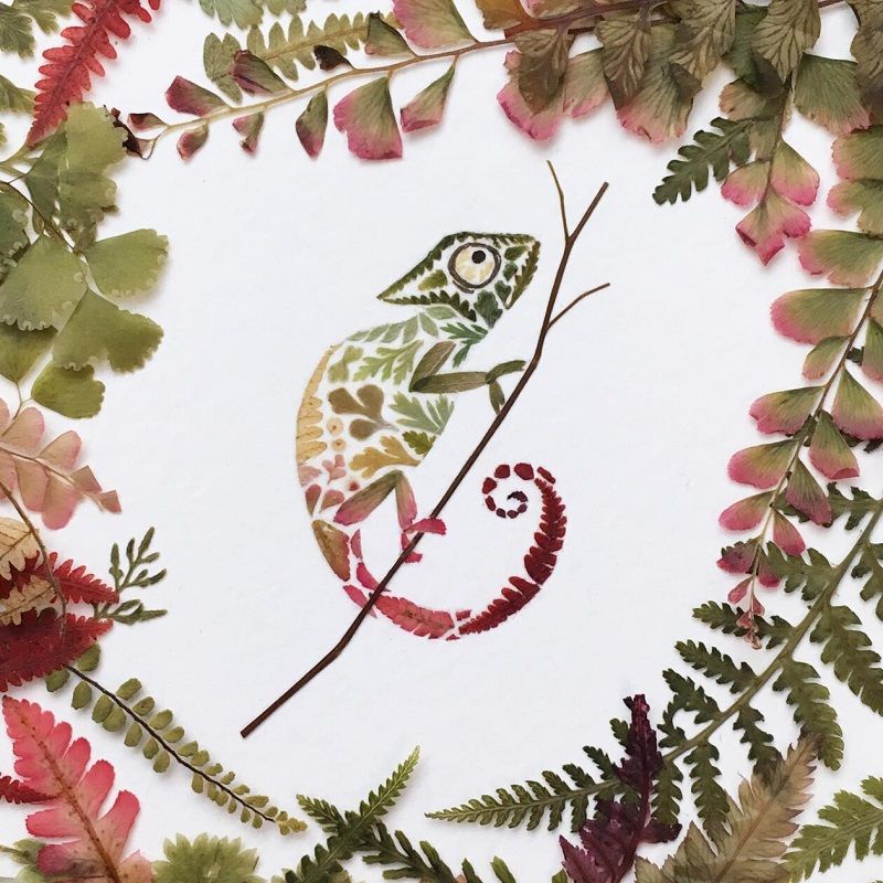 A toad made of leaves and flowers; Photo source: Helenahpornsiri.com website