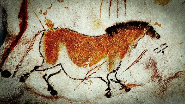 Differe parts of Lascaux cave