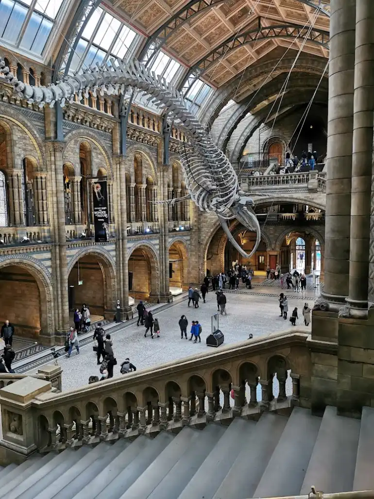London Natural History Museum