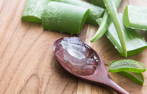 Aloe vera mask to preve hair loss