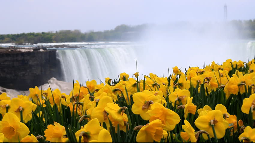 Where is Niagara Falls? Stunning nature that will leave you speechless 26 Niagara Falls Spring