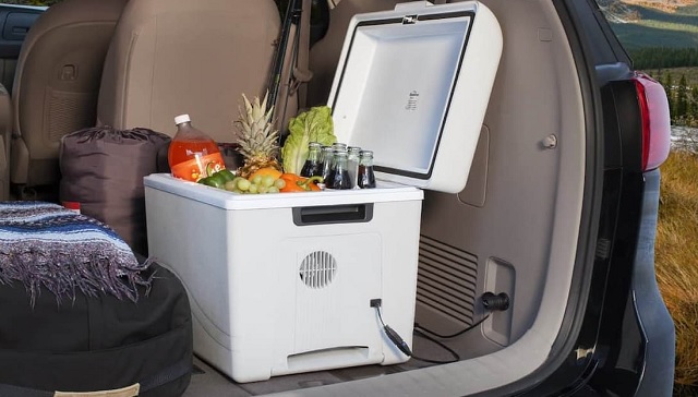 Use a cooler to keep fruit and water cool while traveling