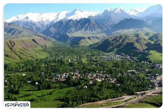 Mir village