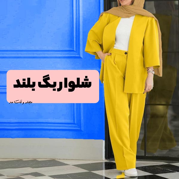 The most stylish model of women's bag pas with a short coat