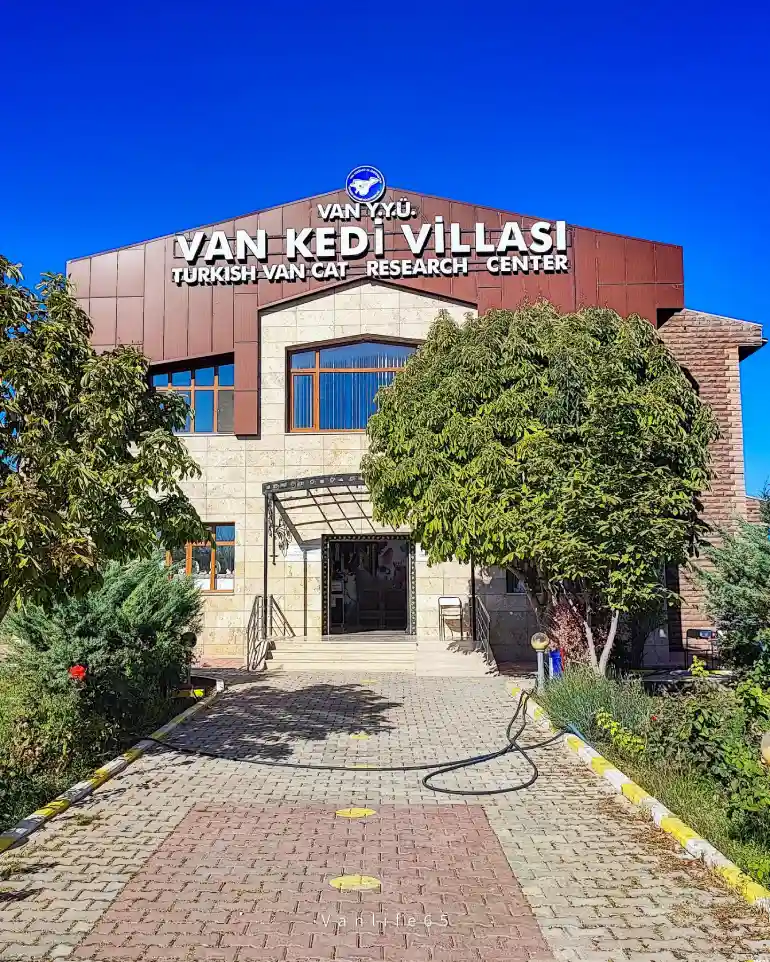 VAN