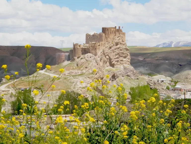 Van Castle