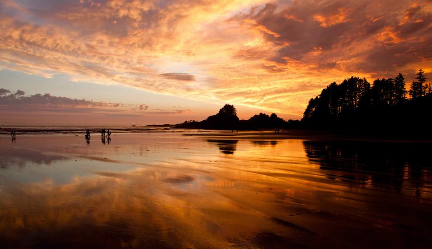 tofino