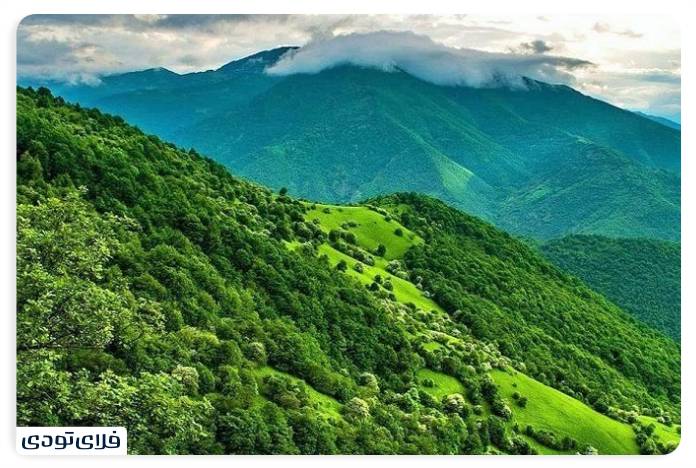 Arsbaran forests 