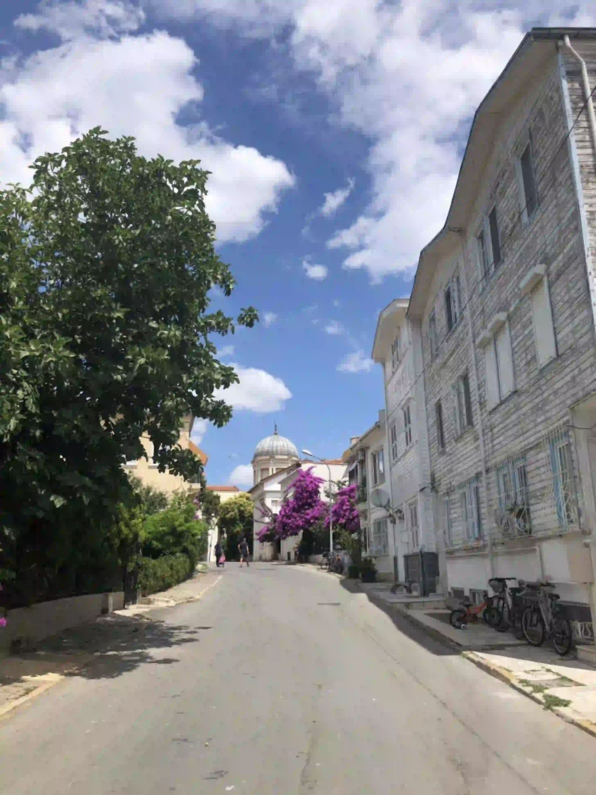 Istanbul Islands; Travel to the hidden paradise of tourists 9 Istanbul Islands