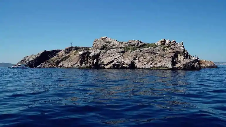 Istanbul Islands; Travel to the hidden paradise of tourists 31 Rabbit Island