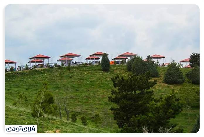 Telo Forest Park