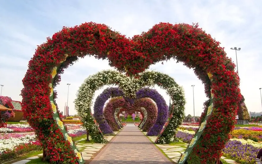 The heart-shaped path of the Dubai Flower Garden