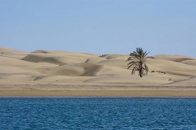 Darek Beach in Oman Sea
