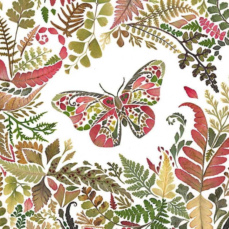 A butterfly among flowers and leaves by Helen Ahpuransiri; Photo source: Helenahpornsiri.com website