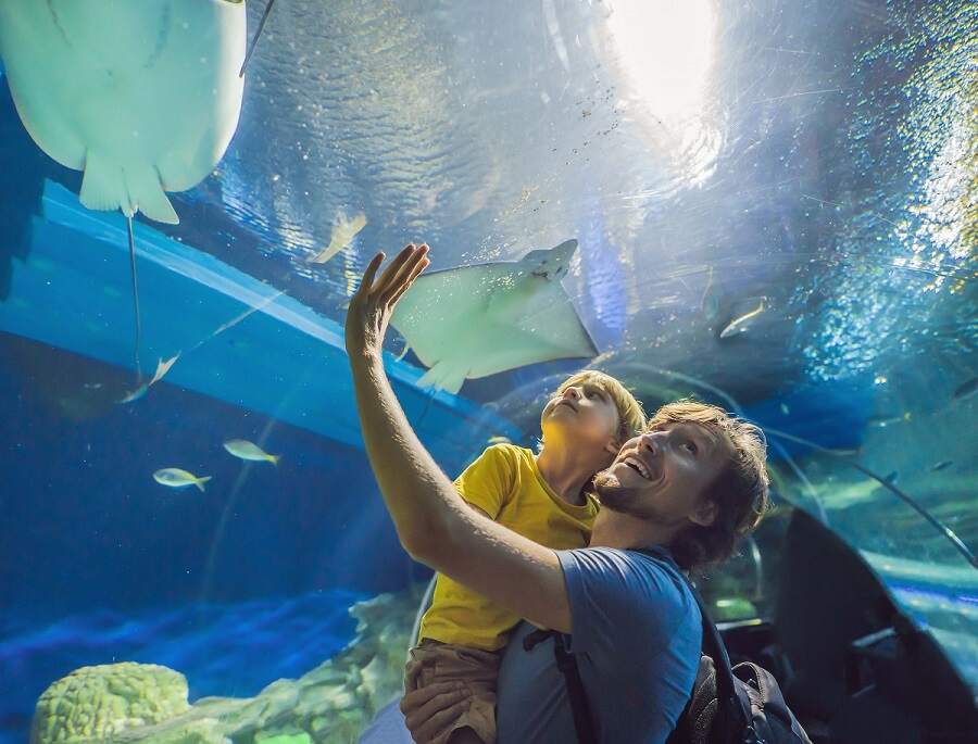 Dubai Aquarium