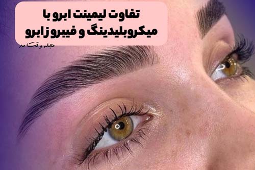 A model of eyebrow laminate
