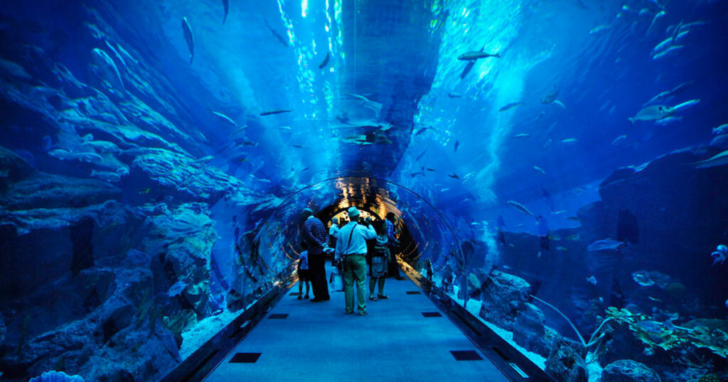 Dubai Underwater Aquarium is one of Dubai's attractions at night 