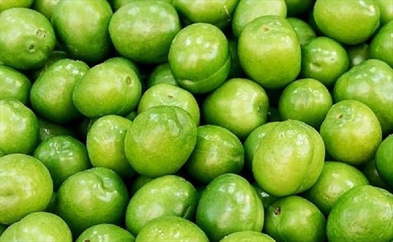 Green tomato One of the most popular souvenirs of Karaj in spring 