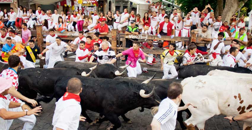 Sights of Spain: the coury of pristine beaches and unique nature 11 Running next to the cows from the sights of Spain