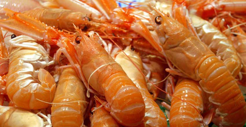 Sights of Spain: the coury of pristine beaches and unique nature 19 Galician seafood in Spain