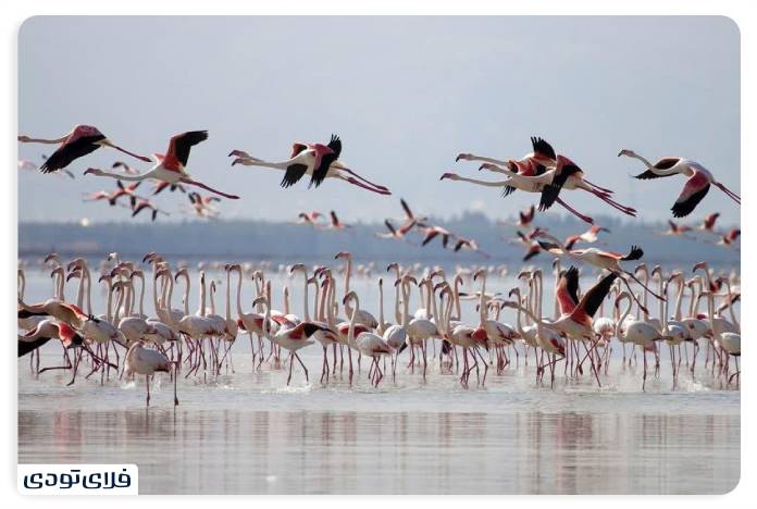 Selka Wildlife Sanctuary is one of the must-see places in the monastery