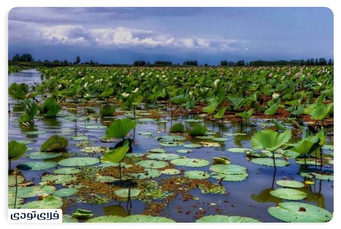 Hindkhale lagoon