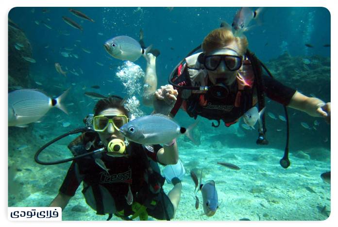 Diving in Alanya