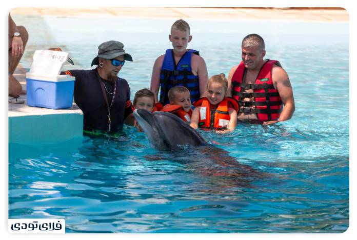 Silania Dolphin Park