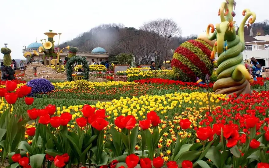 Istanbul Tulip Festival