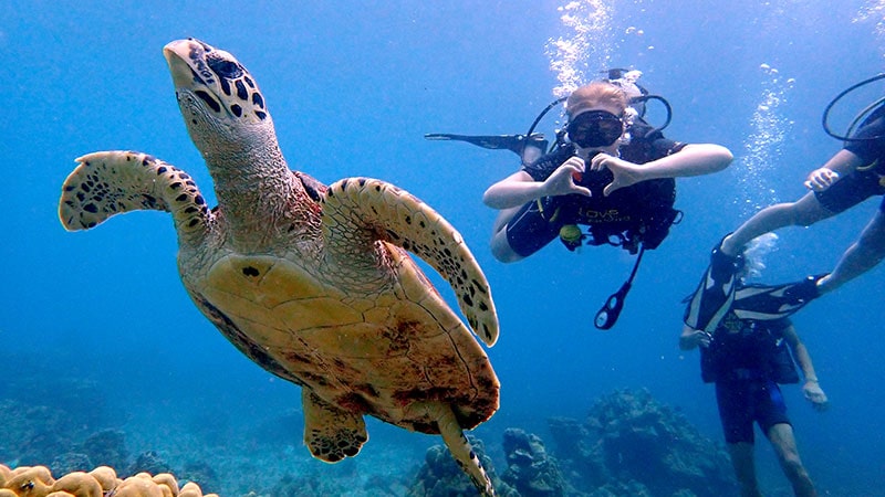 Water sports in Phuket