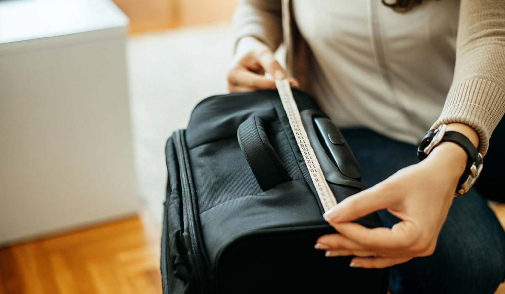 Amou of baggage allowed in domestic airlines