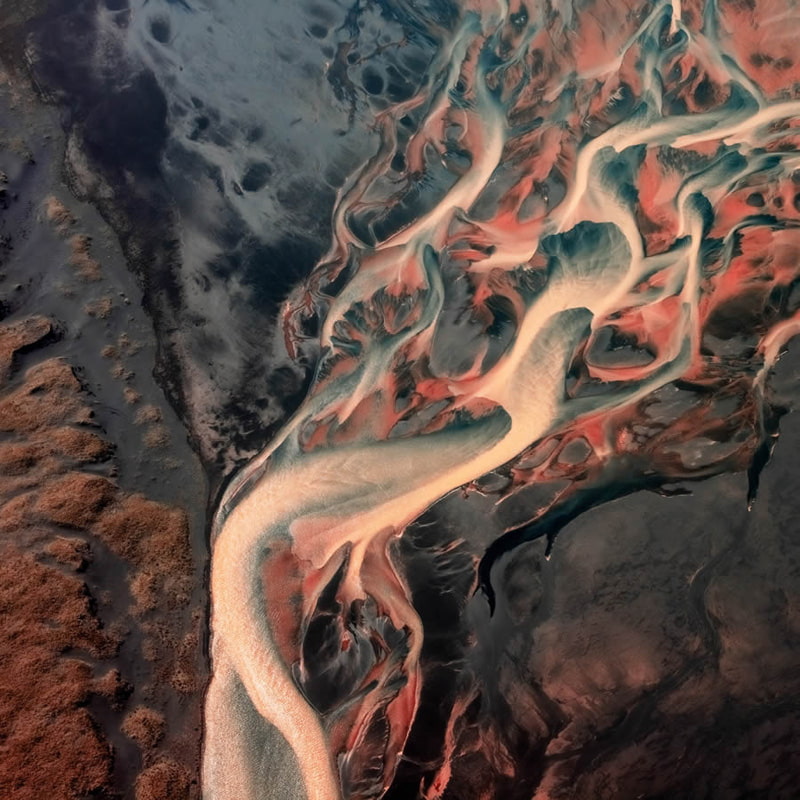 The selected photo of the bird's eye photography coest