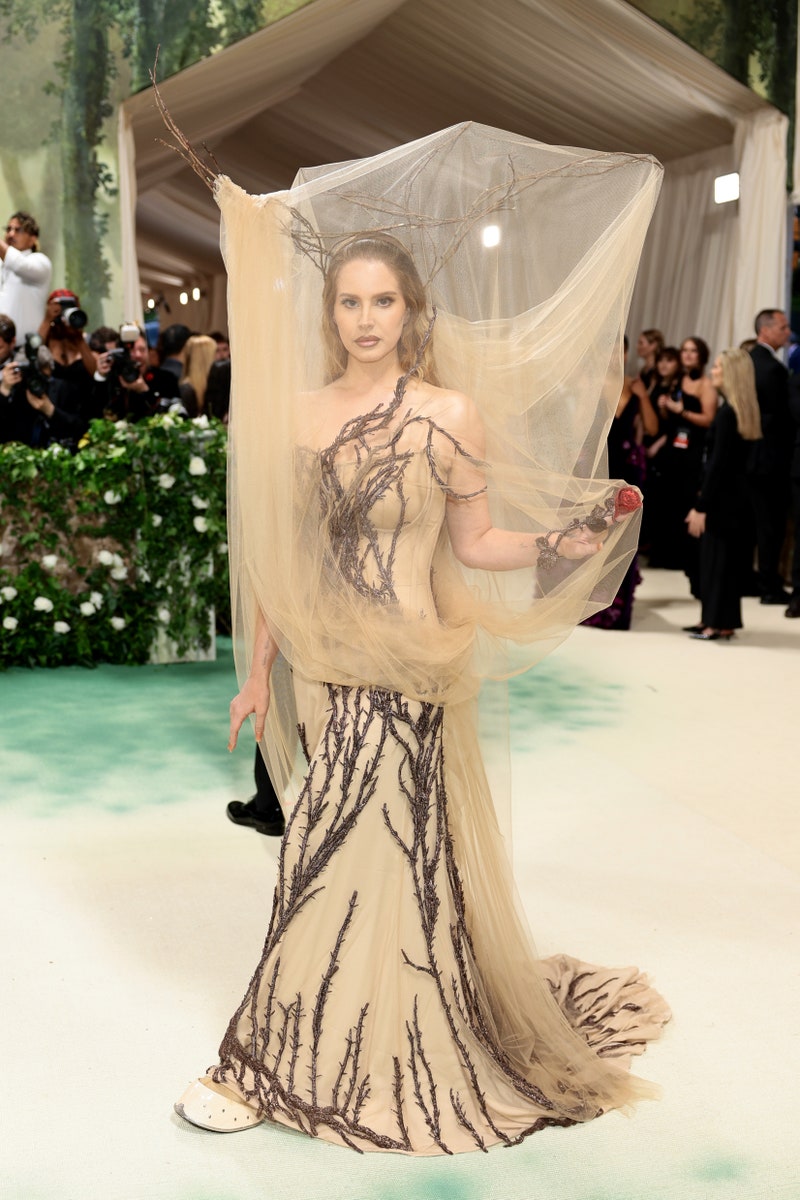 What is the Met Gala - Lana Del Rey Style at the 2024 Met Gala in Alexander McQueen