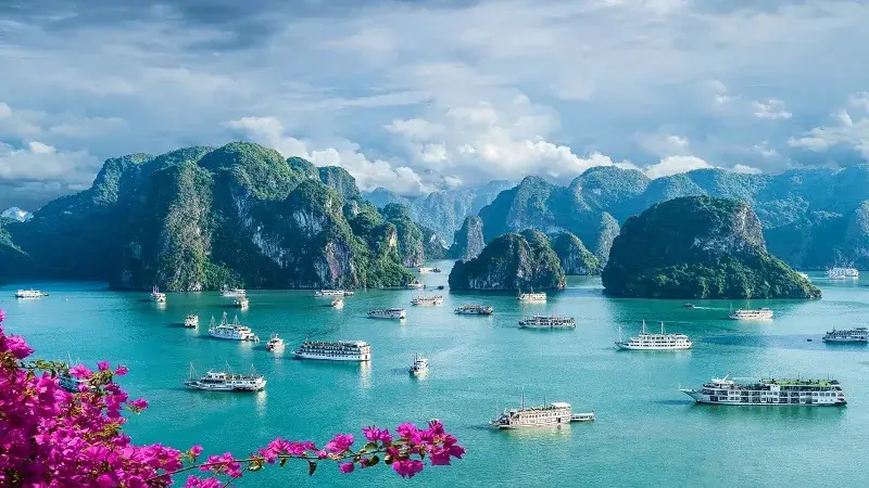 Review of travel to Vietnam in differe mohs of the year (AD)