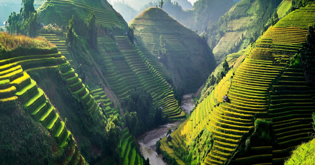A picture of the nature of Vietnam 