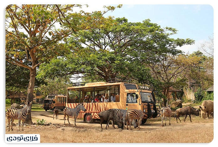 Bali Safari and Bali Marine Park
