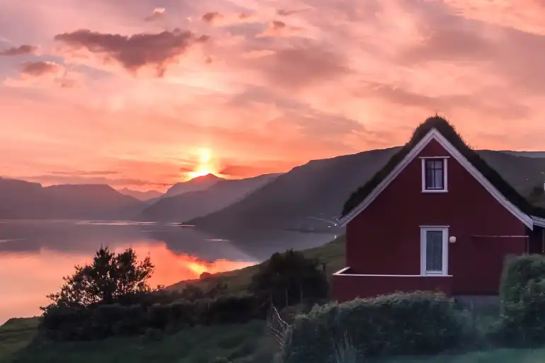 Vegetation and fauna of the Faroe Islands