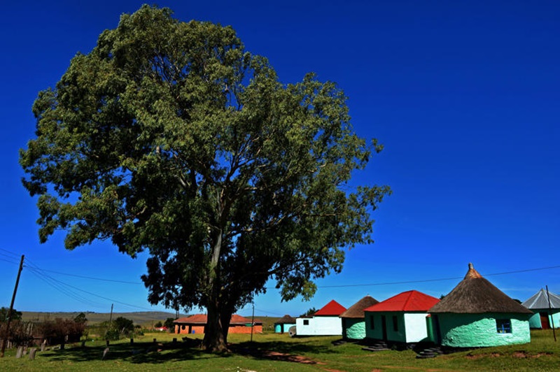 Nelson Mandela Heritage Sites
