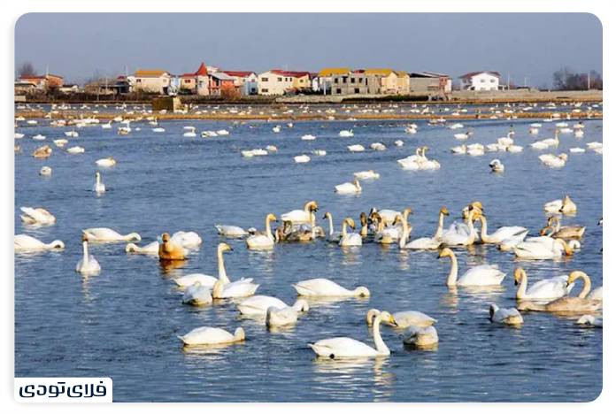 Sarkhrood Lagoon