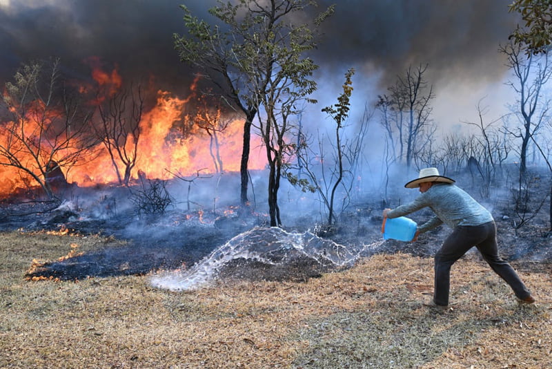 Efforts to coain the fire near Brasilia National Park in Brazil