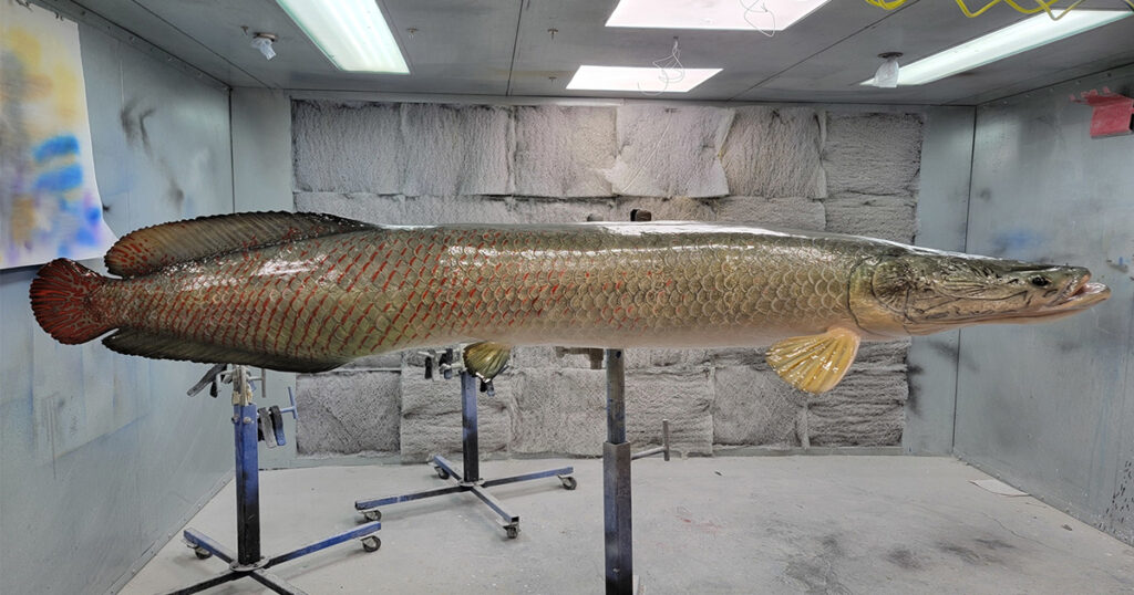 Arapaima, the strangest animals of the Amazon