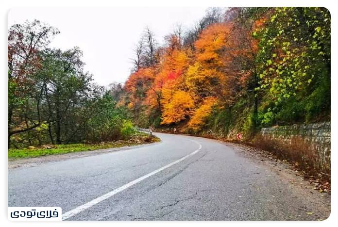 Autumn Masuleh
