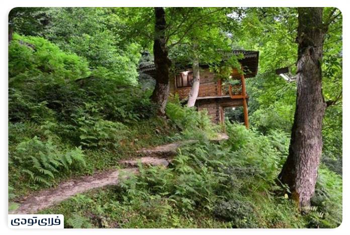 Masuleh Forest Park