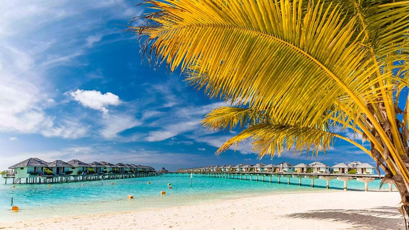 Best time to travel to Maldives
